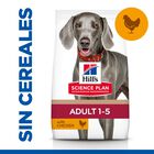 Hill’s Science Plan Adult Large Pollo pienso para perros, , large image number null